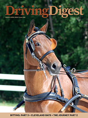 cover issue260 small